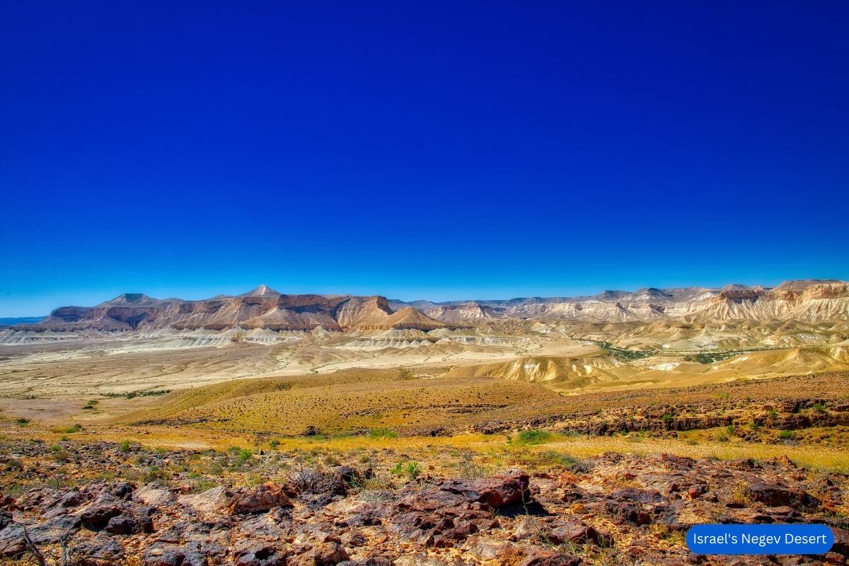 Israel's Negev Desert