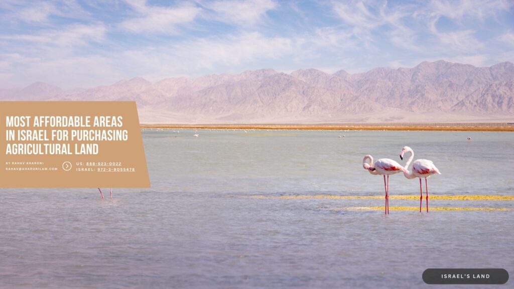 Most Affordable Areas in Israel for Purchasing Agricultural Land